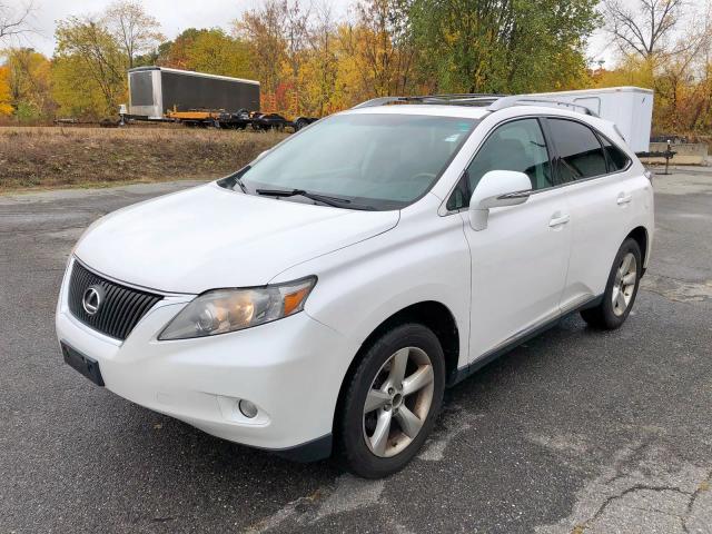 2T2BK1BA4AC055259 - 2010 LEXUS RX 350 WHITE photo 3