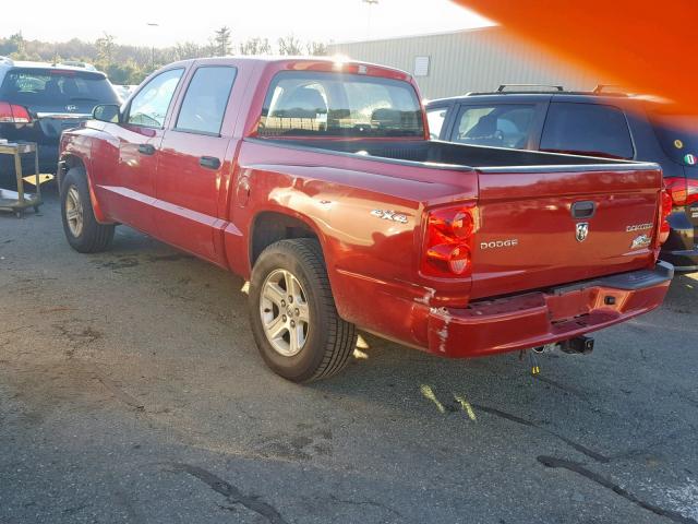 1D7CW3GK7AS202799 - 2010 DODGE DAKOTA SXT RED photo 3