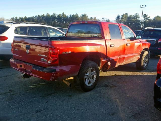 1D7CW3GK7AS202799 - 2010 DODGE DAKOTA SXT RED photo 4