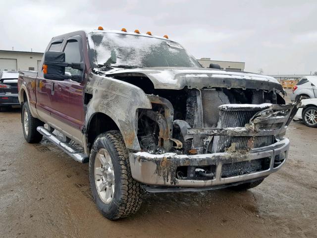 1FTSW31R98EA60430 - 2008 FORD F350 SRW S RED photo 1