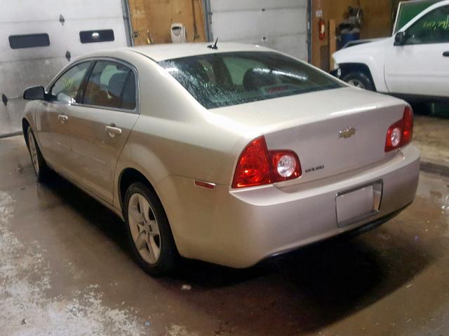 1G1ZB5EB3AF144853 - 2010 CHEVROLET MALIBU LS 米色 照片 3