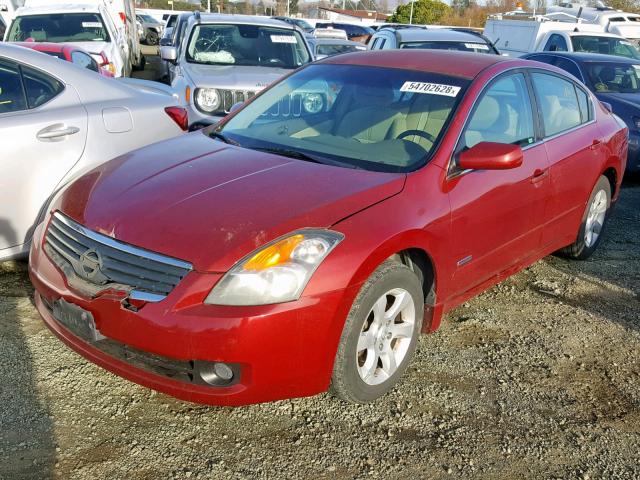 1N4CL21E87C197346 - 2007 NISSAN ALTIMA HYB RED photo 2