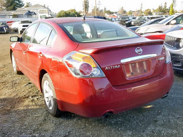 1N4CL21E87C197346 - 2007 NISSAN ALTIMA HYB RED photo 3
