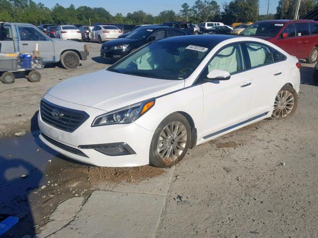 5NPE34AF1FH035066 - 2015 HYUNDAI SONATA SPO WHITE photo 2