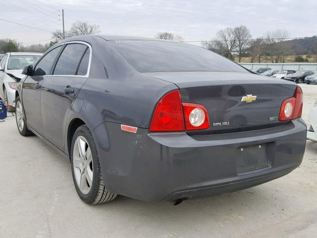 1G1ZA5EU4BF301439 - 2011 CHEVROLET MALIBU LS Boz foto 3