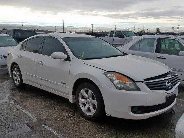 1N4CL21E89C101556 - 2009 NISSAN ALTIMA HYB WHITE photo 1