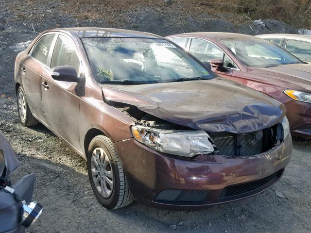 KNAFU4A23A5842984 - 2010 KIA FORTE EX BURGUNDY photo 1