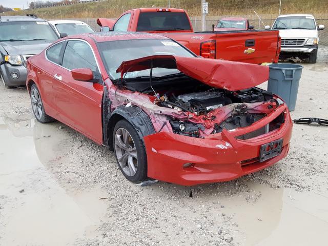 1HGCS2B82BA005348 - 2011 HONDA ACCORD EXL RED photo 1