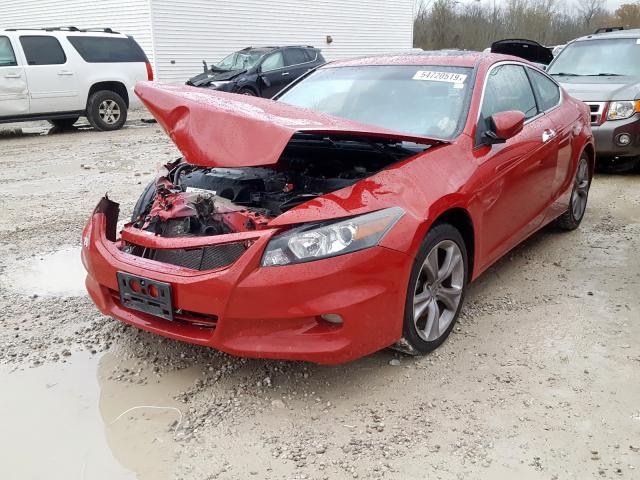 1HGCS2B82BA005348 - 2011 HONDA ACCORD EXL RED photo 2