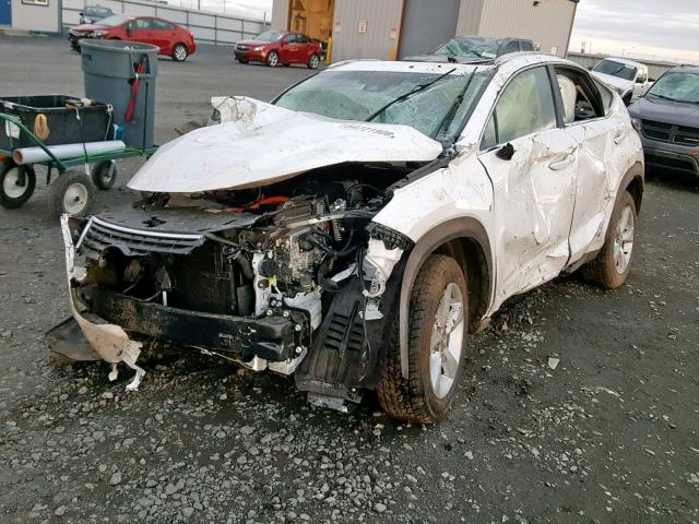 JTJBJRBZ4K2097214 - 2019 LEXUS NX 300H WHITE photo 2