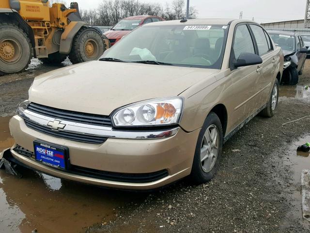 1G1ZT54885F310552 - 2005 CHEVROLET MALIBU LS 金色 照片 2