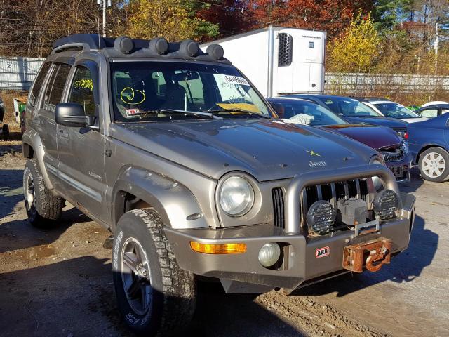 1J4GL38K64W167733 - 2004 JEEP LIBERTY RE TAN photo 1