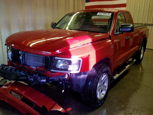 1D7CW3BP7AS184209 - 2010 DODGE DAKOTA SXT RED photo 2