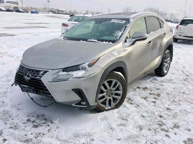 JTJBARBZ3J2155067 - 2018 LEXUS NX 200T GRAY photo 2