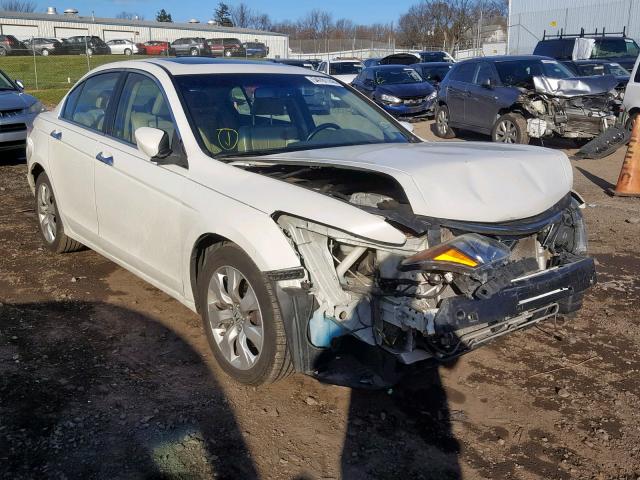 1HGCP3F89AA032014 - 2010 HONDA ACCORD EXL WHITE photo 1