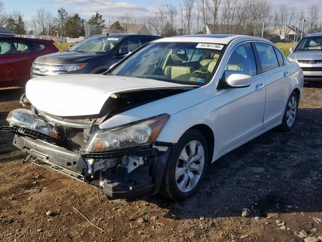 1HGCP3F89AA032014 - 2010 HONDA ACCORD EXL WHITE photo 2