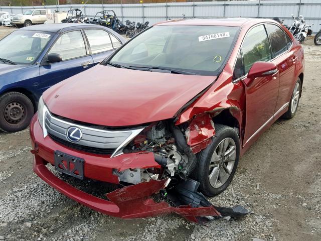 JTHBB1BA4A2028872 - 2010 LEXUS HS 250H RED photo 2