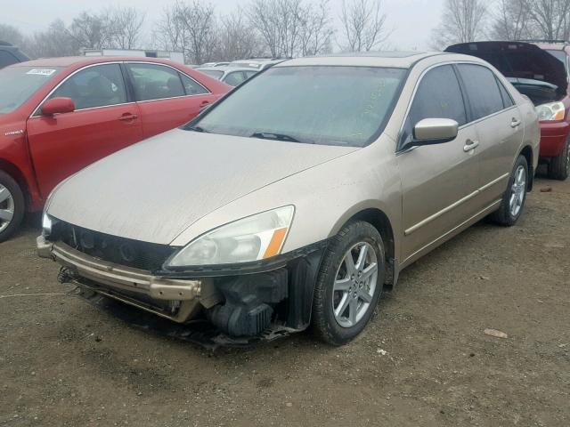 1HGCM66583A079067 - 2003 HONDA ACCORD GOLD photo 2