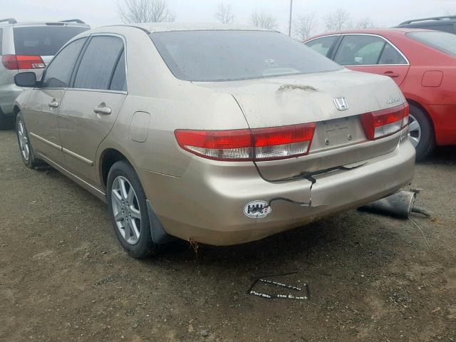 1HGCM66583A079067 - 2003 HONDA ACCORD GOLD photo 3