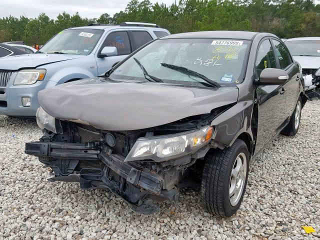 KNAFU4A20A5063008 - 2010 KIA FORTE EX BROWN photo 2