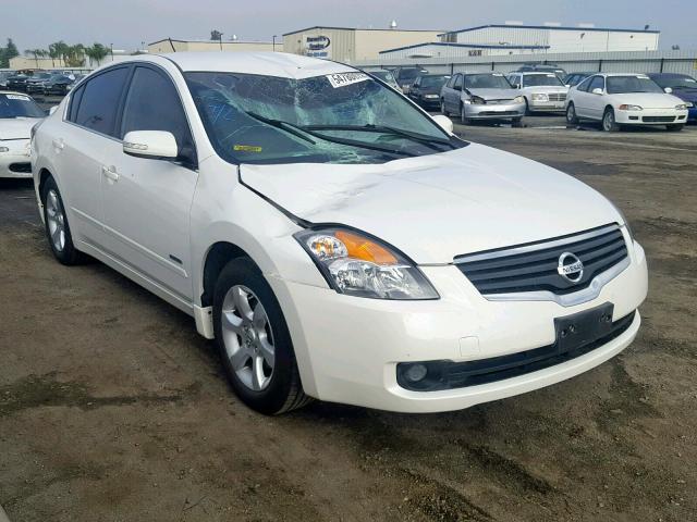 1N4CL21E98C173770 - 2008 NISSAN ALTIMA HYB WHITE photo 1