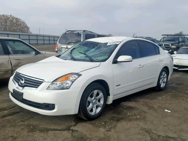 1N4CL21E98C173770 - 2008 NISSAN ALTIMA HYB WHITE photo 2