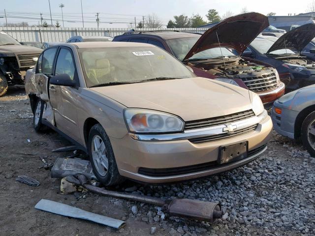 1G1ZT54805F185109 - 2005 CHEVROLET MALIBU LS GOLD photo 1