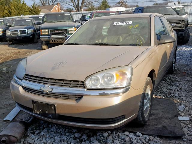 1G1ZT54805F185109 - 2005 CHEVROLET MALIBU LS GOLD photo 2