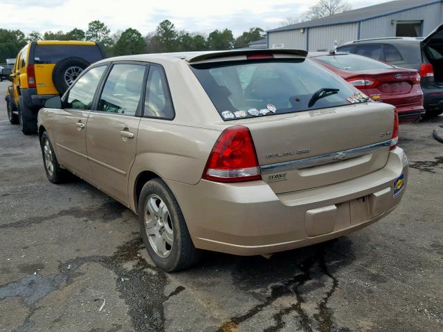 1G1ZU64875F321593 - 2005 CHEVROLET MALIBU MAX თაფლისფერი ფოტო 3