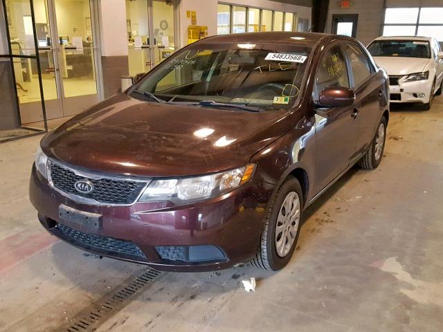 KNAFU4A21B5360452 - 2011 KIA FORTE EX PURPLE photo 2