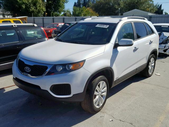 5XYKTDA24BG047486 - 2011 KIA SORENTO BA WHITE photo 2