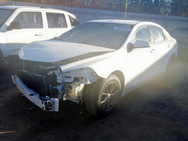 1G1ZH57BX9F141875 - 2009 CHEVROLET MALIBU 1LT 白色 照片 2