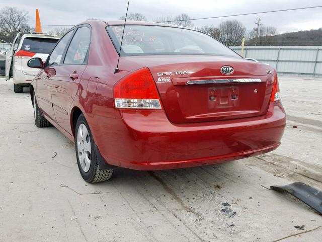 KNAFE121385559352 - 2008 KIA SPECTRA EX RED photo 3