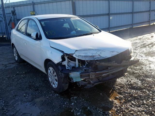 KNAFU4A22C5531677 - 2012 KIA FORTE EX WHITE photo 1