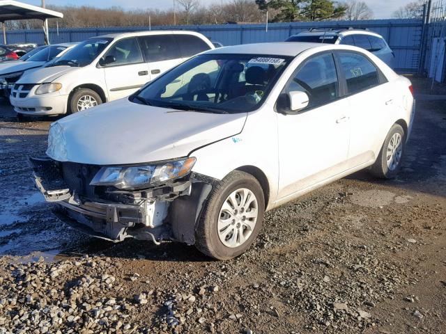 KNAFU4A22C5531677 - 2012 KIA FORTE EX WHITE photo 2