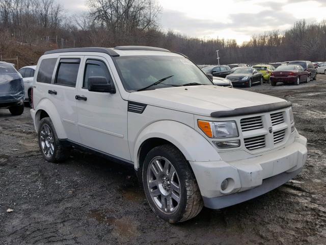 1D4PU4GK3AW161428 - 2010 DODGE NITRO HEAT WHITE photo 1