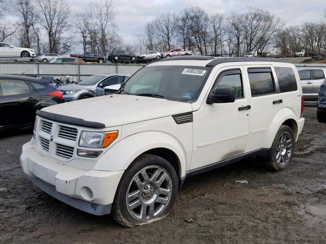 1D4PU4GK3AW161428 - 2010 DODGE NITRO HEAT WHITE photo 2