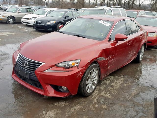 JTHBF1D23E5008093 - 2014 LEXUS IS 250 RED photo 2