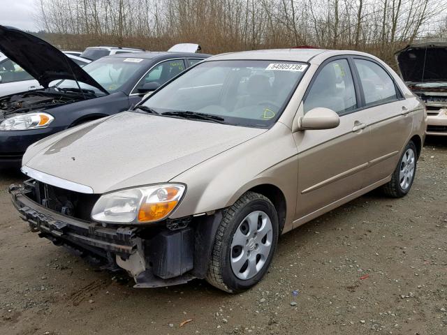 KNAFE121175416155 - 2007 KIA SPECTRA EX GOLD photo 2