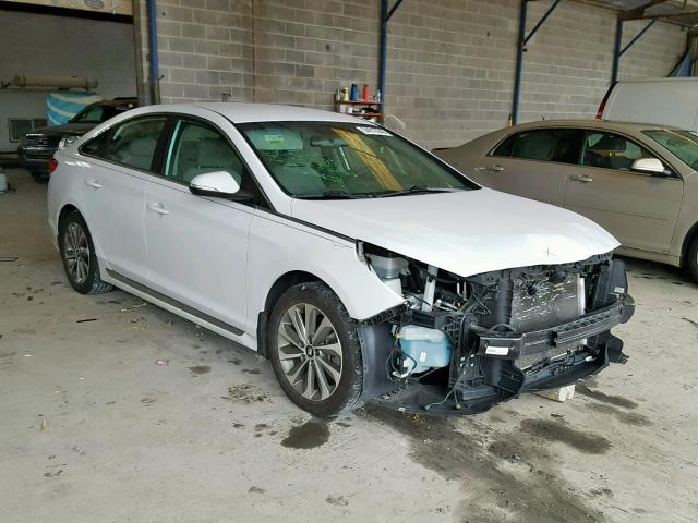 5NPE34AF5GH339812 - 2016 HYUNDAI SONATA SPO WHITE photo 1