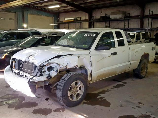 1D7HW42K27S164863 - 2007 DODGE DAKOTA SLT WHITE photo 2