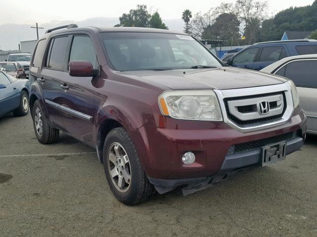 5FNYF48909B019268 - 2009 HONDA PILOT TOUR BURGUNDY photo 1