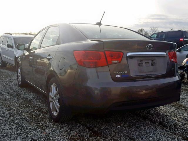 KNAFU4A23C5512958 - 2012 KIA FORTE EX BROWN photo 3