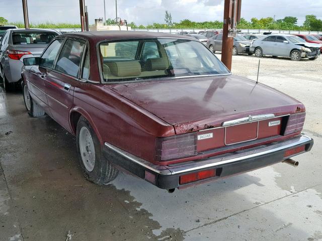 SAJHY1748LC610002 - 1990 JAGUAR XJ6 SOVERE BURGUNDY photo 3