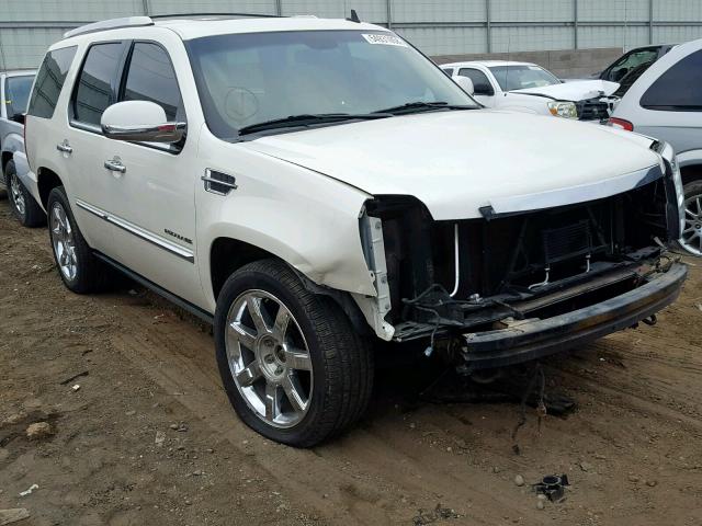 1GYS4CEF8BR137658 - 2011 CADILLAC ESCALADE P CREAM photo 1