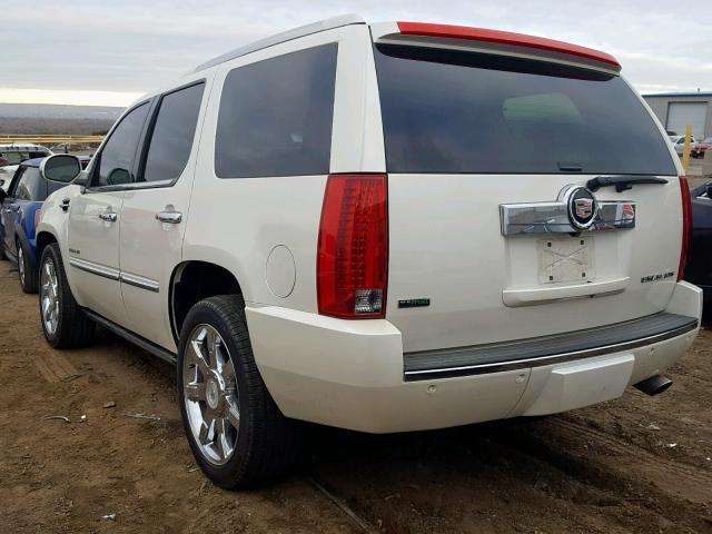 1GYS4CEF8BR137658 - 2011 CADILLAC ESCALADE P CREAM photo 3