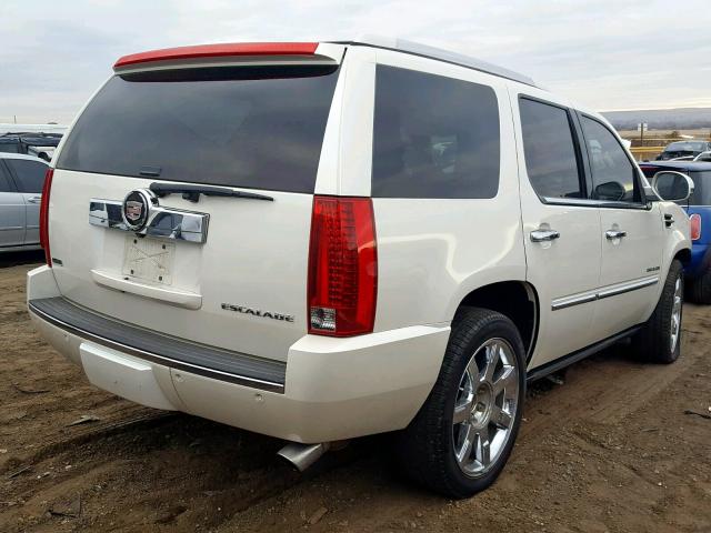 1GYS4CEF8BR137658 - 2011 CADILLAC ESCALADE P CREAM photo 4