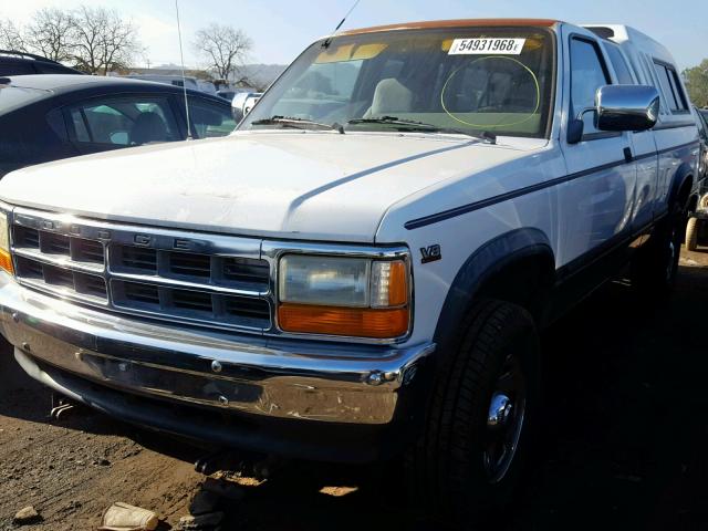 1B7GG23Y6SS312564 - 1995 DODGE DAKOTA WHITE photo 2