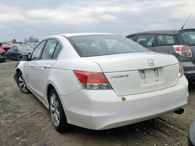 1HGCP26868A813397 - 2008 HONDA ACCORD EXL WHITE photo 3