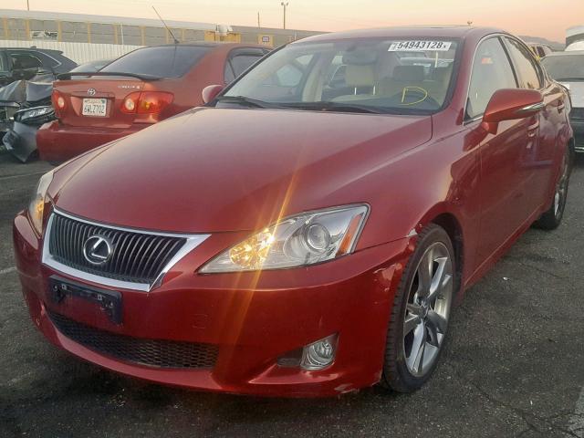 JTHBK262592084808 - 2009 LEXUS IS 250 RED photo 2